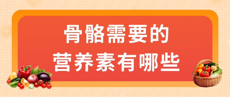 骨骼需要的營養(yǎng)素有哪些？